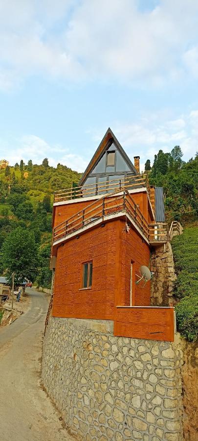 Puleri Suit Bungalow Çamlıhemşin エクステリア 写真