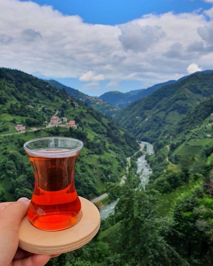 Puleri Suit Bungalow Çamlıhemşin エクステリア 写真